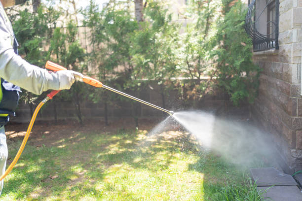 Best Seasonal Pest Control (e.g., summer mosquitoes, winter rodents)  in Central Park, WA